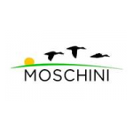 Moschini